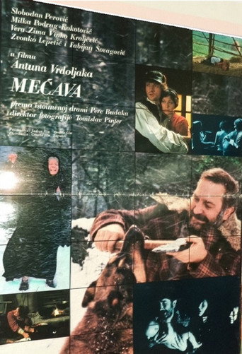 Póster de Mećava