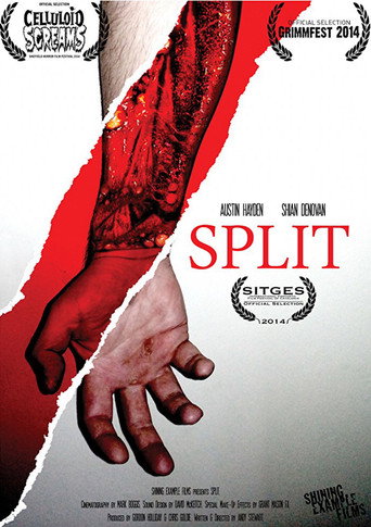 Póster de Split