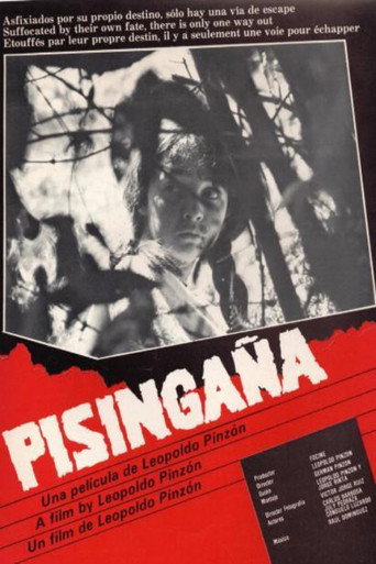 Póster de Pisingaña
