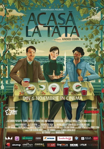Póster de Acasă la tata