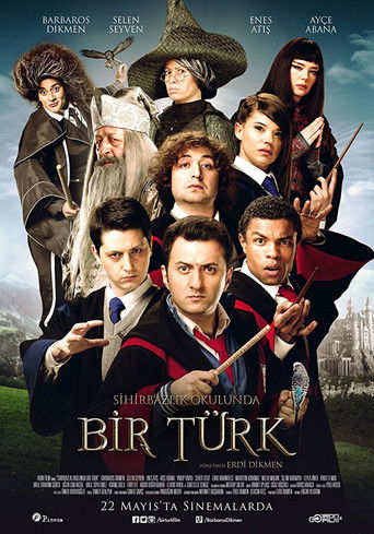 Póster de Sihirbazlık Okulunda Bir Türk