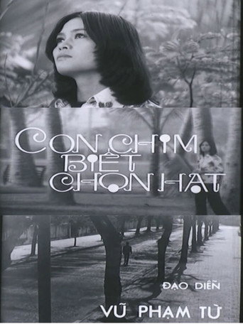 Póster de Con Chim Biết Chọn Hạt