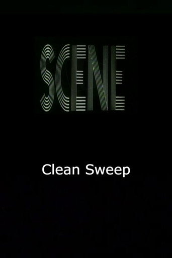 Póster de Clean Sweep