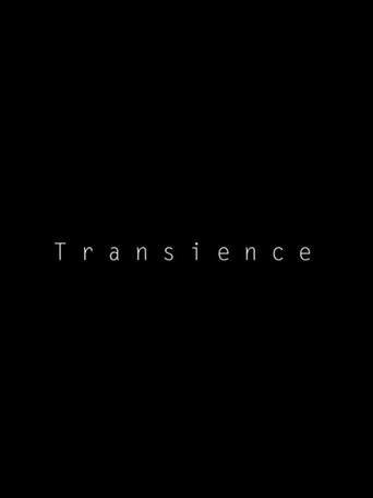 Póster de Transience