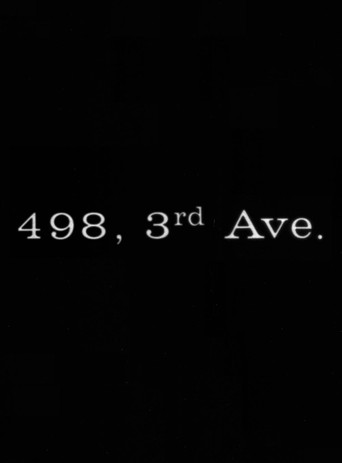 Póster de 498 Third Avenue