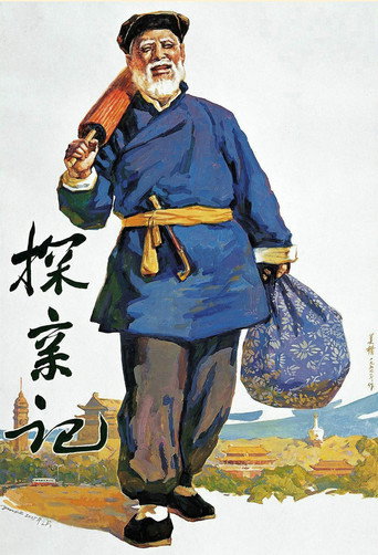 Póster de 探亲记