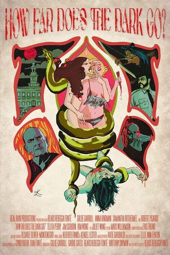Póster de How Far Does the Dark Go?
