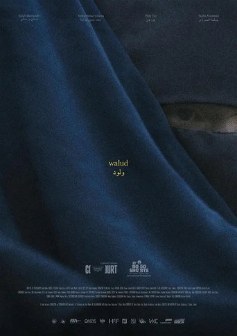 Póster de Walud