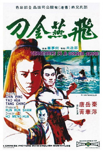 Póster de 飛燕金刀