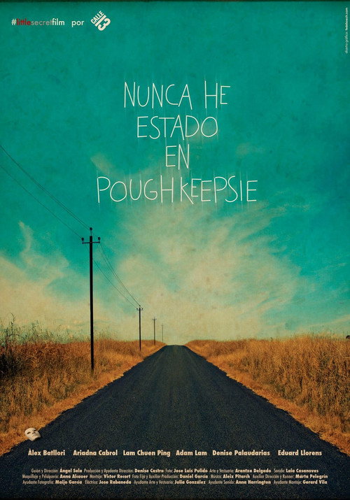 Póster de Nunca he estado en Poughkeepsie