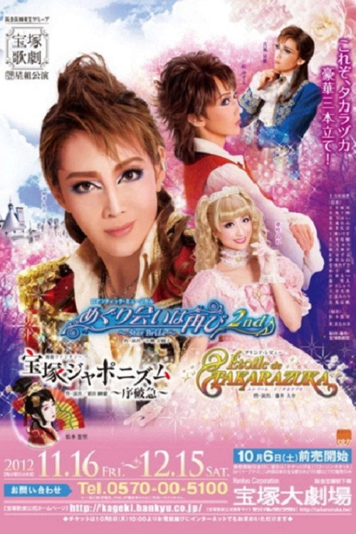 Póster de めぐり会いは再び 2nd ~Star Bride~