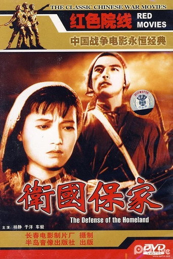 Póster de 卫国保家
