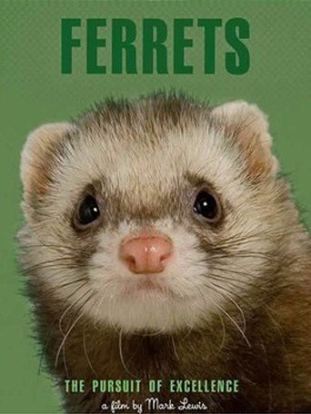 Póster de Ferrets