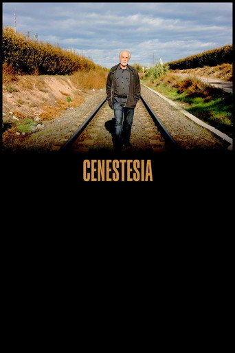 Póster de Cenestesia