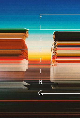 Póster de Fleeting