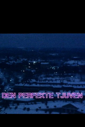 Póster de Den perfekte tjuven