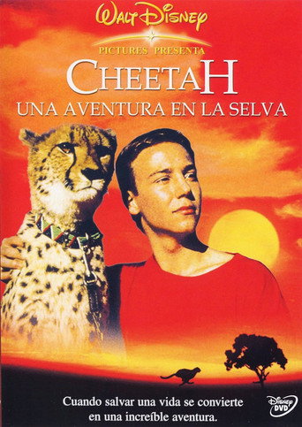 Póster de Duma y sus amigos