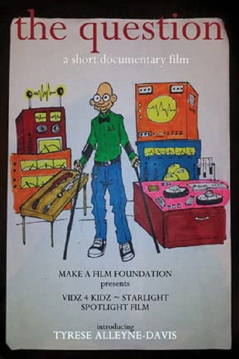 Póster de The Question