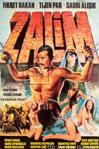 Póster de Zalim