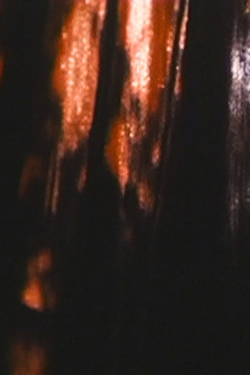 Póster de CURTAIN