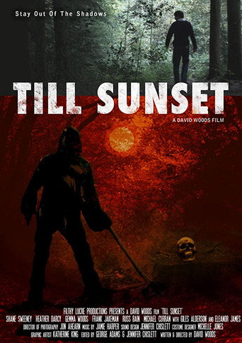 Póster de Till Sunset