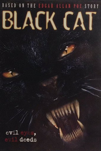 Póster de Black Cat