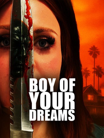 Póster de Boy of Your Dreams