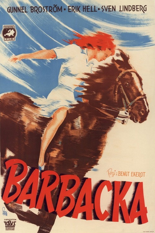 Póster de Barbacka