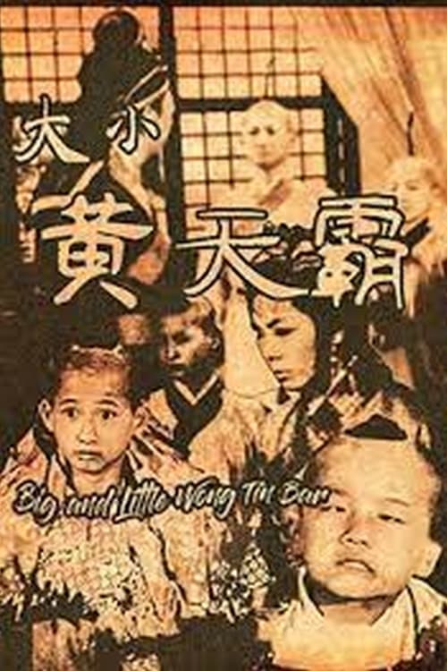 Póster de 大小黄天霸