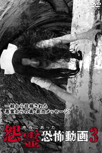 Póster de 本当にあった怨霊恐怖動画 3
