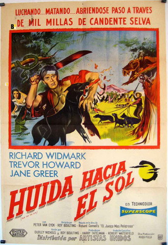 Póster de Run for the Sun