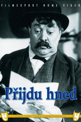 Póster de Přijdu hned