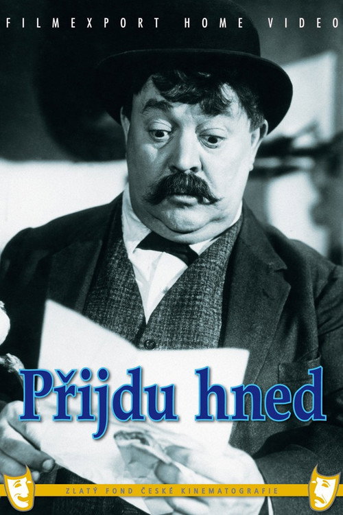 Póster de Přijdu hned