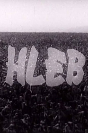 Póster de Hleb