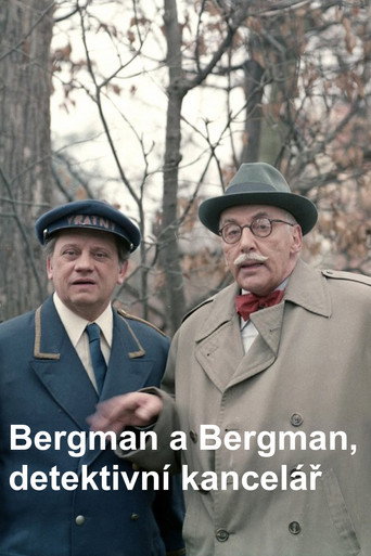 Póster de Bergman a Bergman, detektivní kancelář