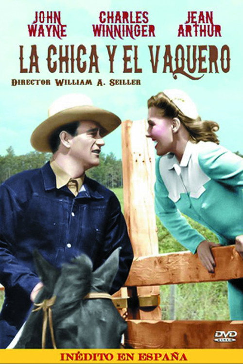 Póster de A Lady Takes a Chance