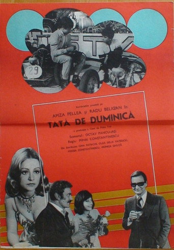 Póster de Tată de duminică