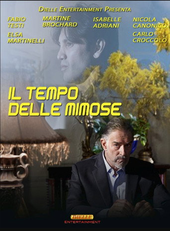 Póster de Il tempo delle mimose