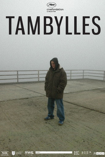 Póster de Tambylles