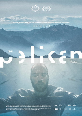 Póster de Pelikan