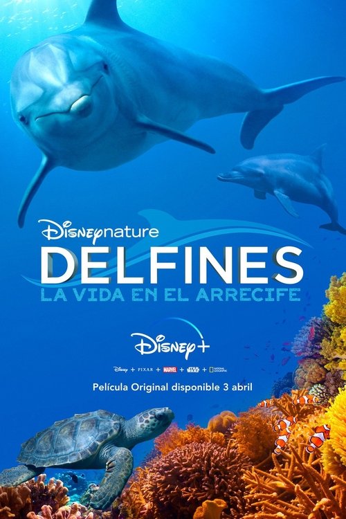 Póster de Arrecifes de delfines
