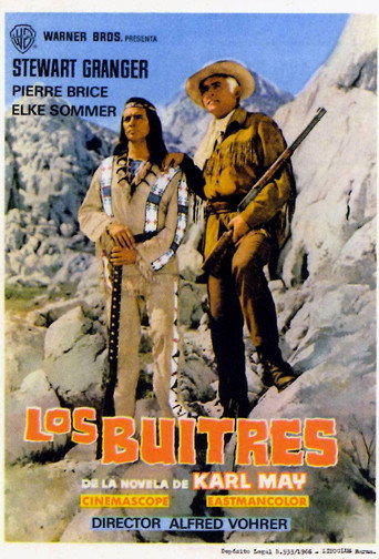 Póster de Unter Geiern