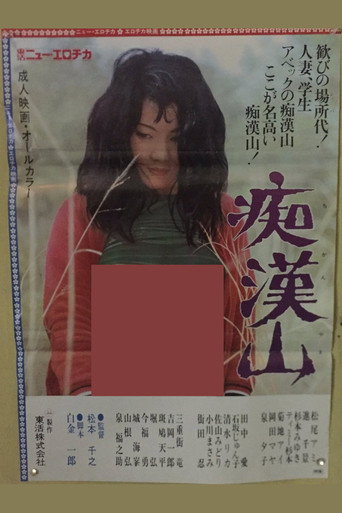 Póster de Groping Mountain