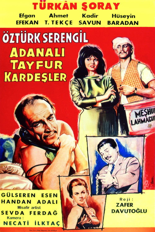 Póster de Adanalı Tayfur Kardeşler