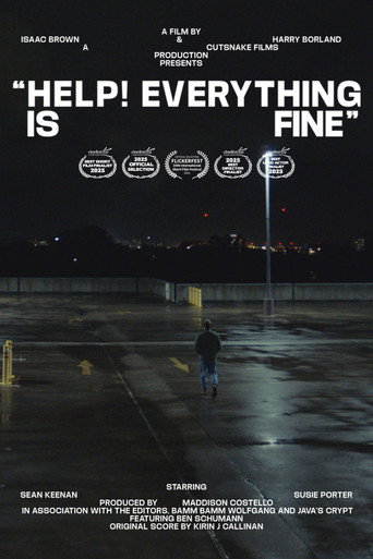 Póster de Help! Everything is Fine