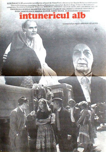 Póster de Întunericul alb