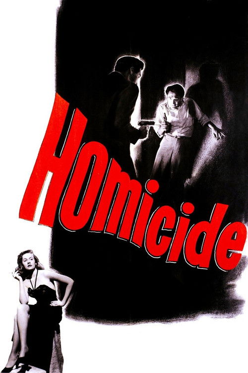 Póster de Homicide