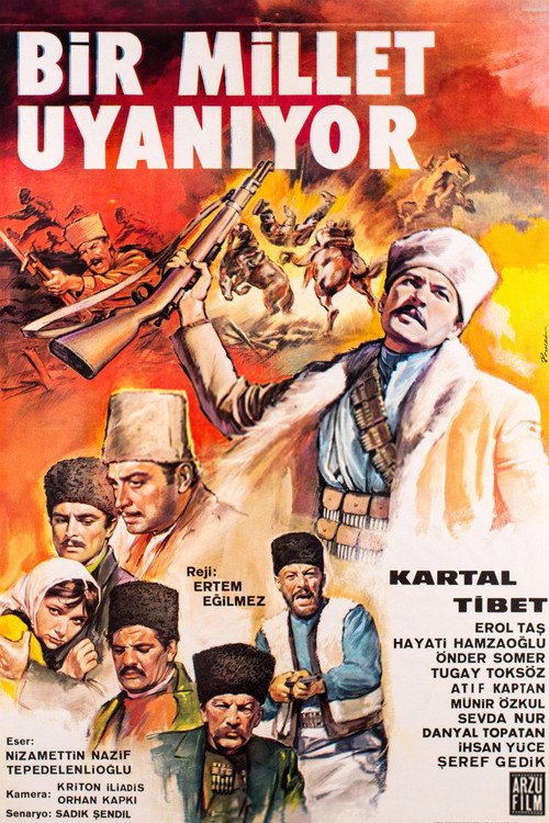 Póster de Bir Millet Uyanıyor