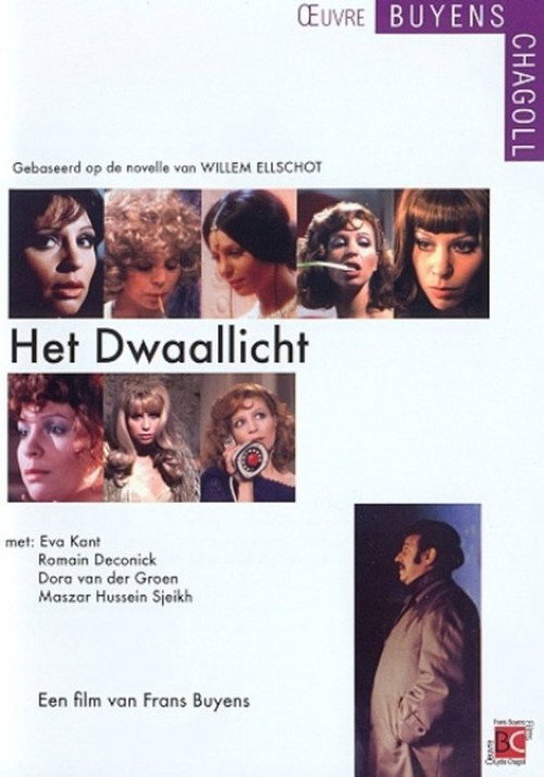 Póster de Het Dwaallicht