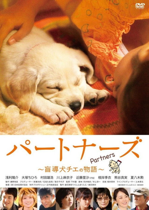 Póster de パートナーズ